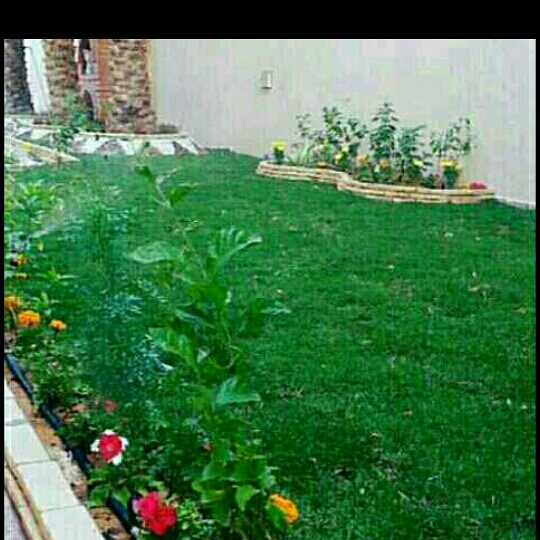 زراعة وتنسيق حدائق - 10