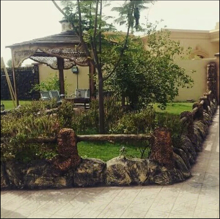زراعة وتنسيق حدائق - 8