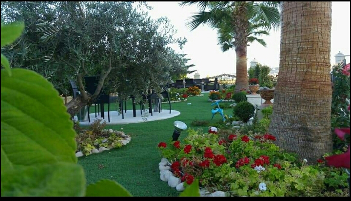 زراعة وتنسيق حدائق - 6