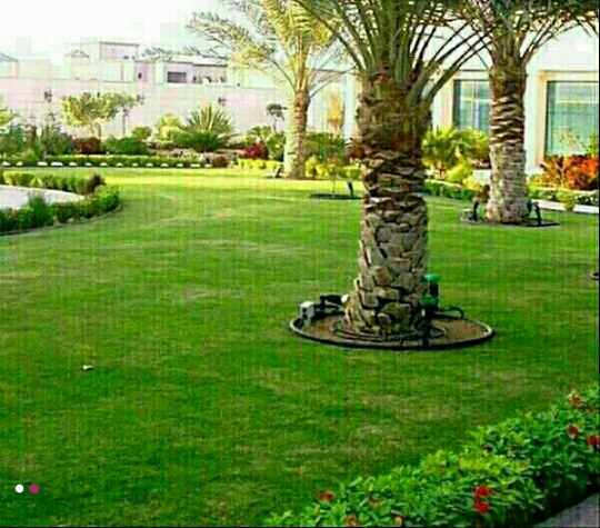 زراعة وتنسيق حدائق - 11