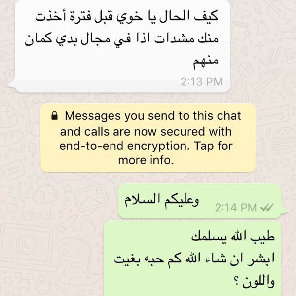 مشد الجسم - 7