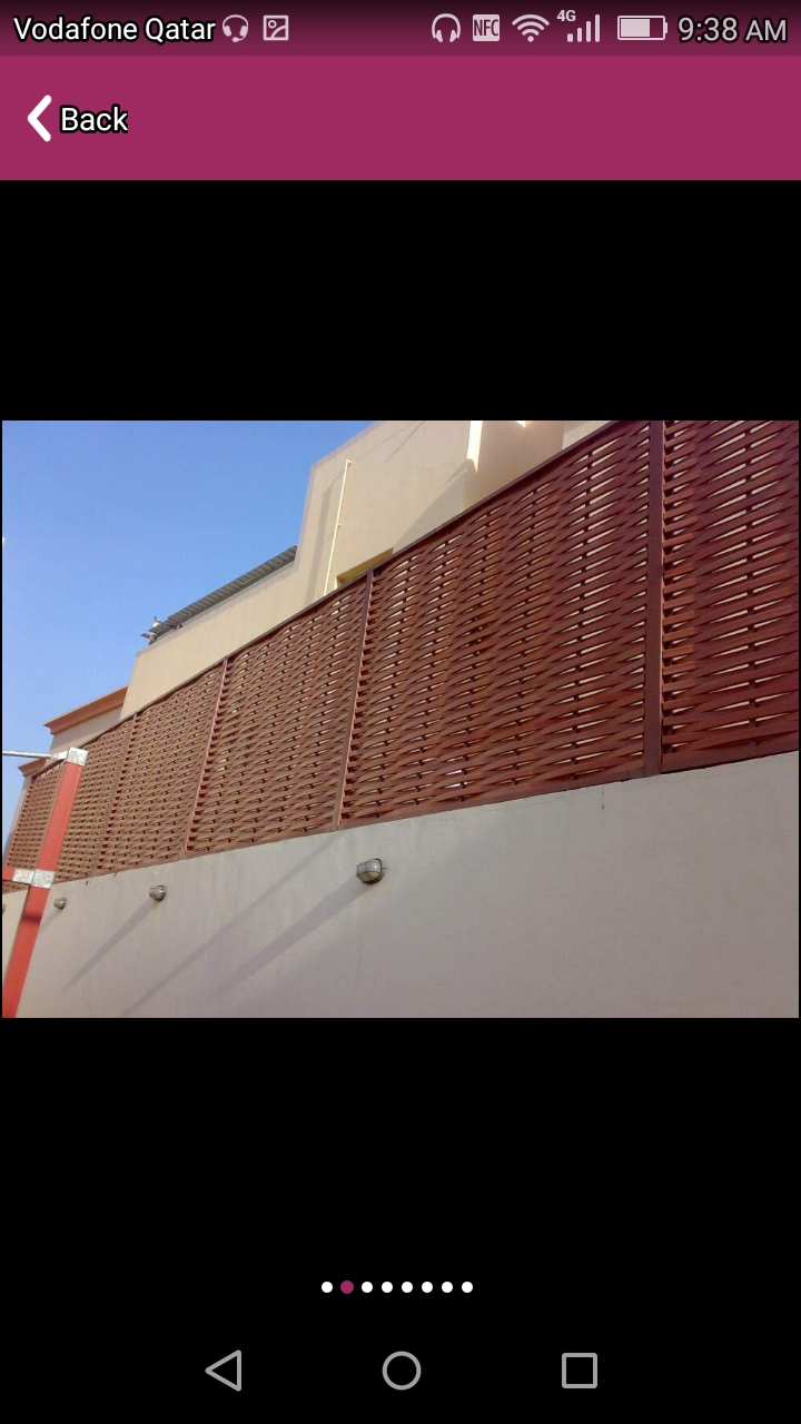 Dorobzin palustik steel in door. - 5