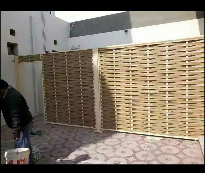 Dorobzin palustik steel in door. - 3