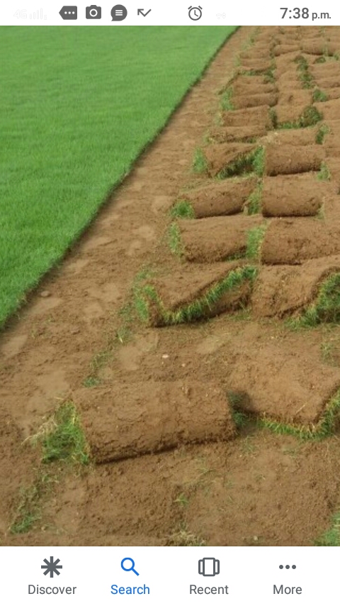 Natural Grass& Irrigation Network - 2