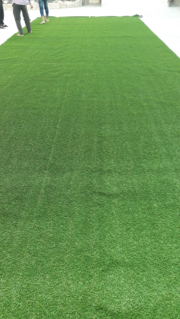 Artificial Grass - 3