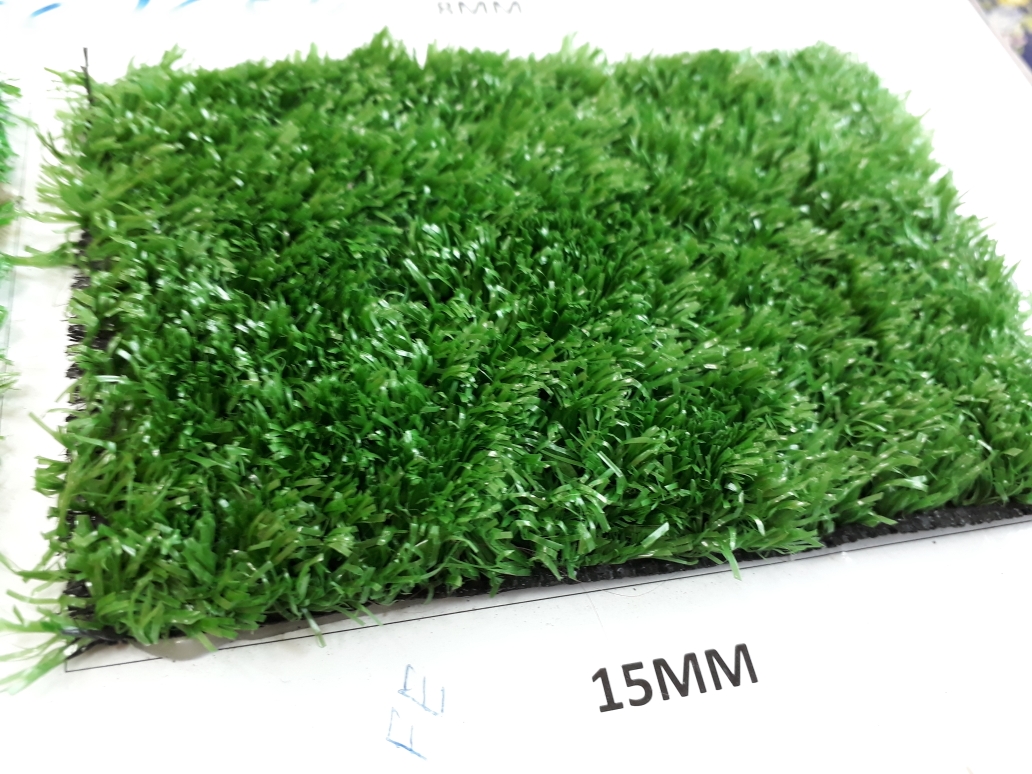 Artificial Grass - 1