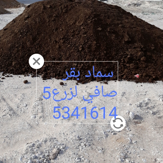 رمل مغسول - 5