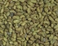 بذور جات - 1