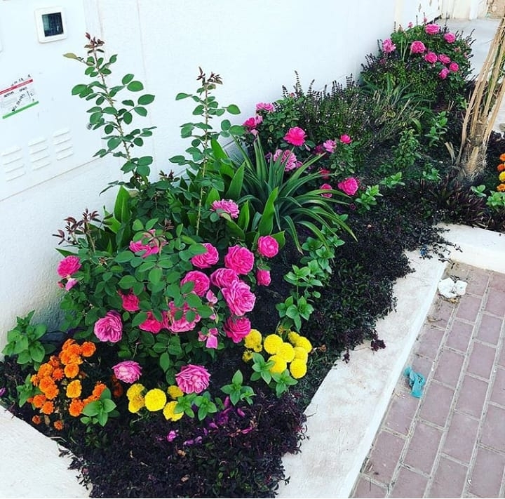 عمل تحديدات - 2