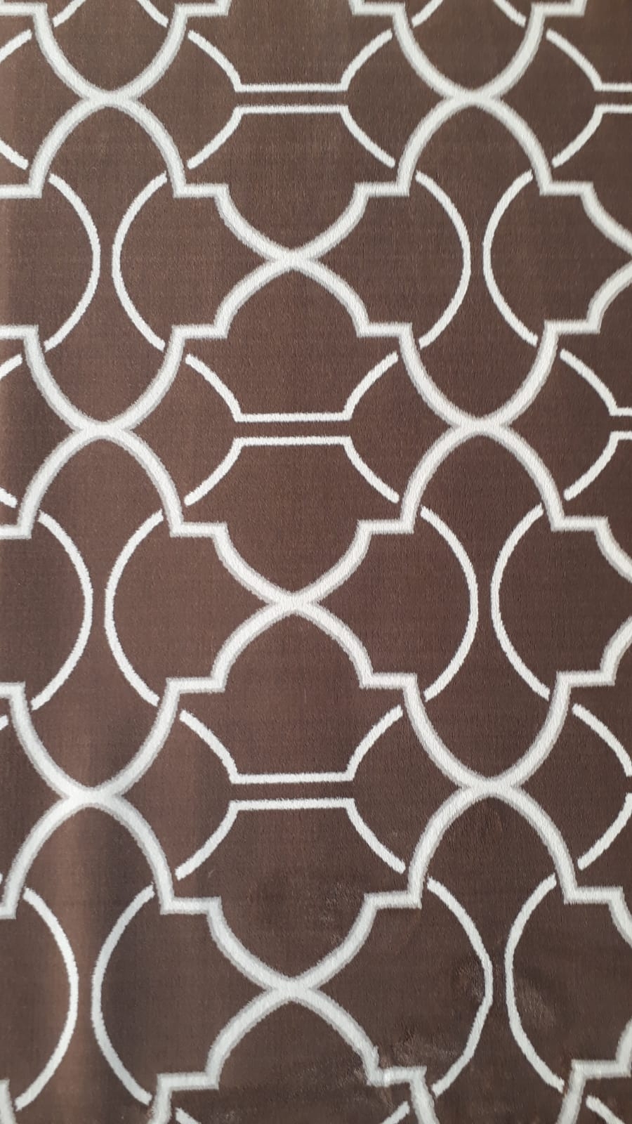 Carpet - 6
