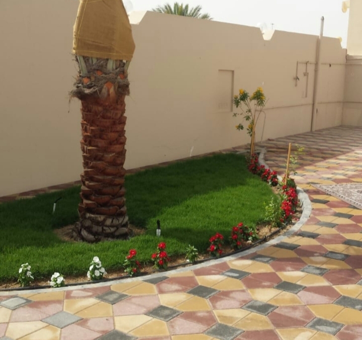 زراعه جميع أنواع النخيل - 14