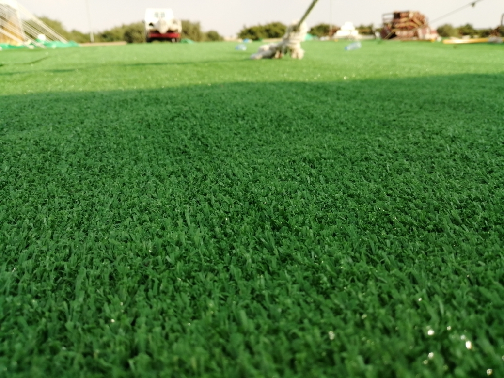 grass carpent sale - 5