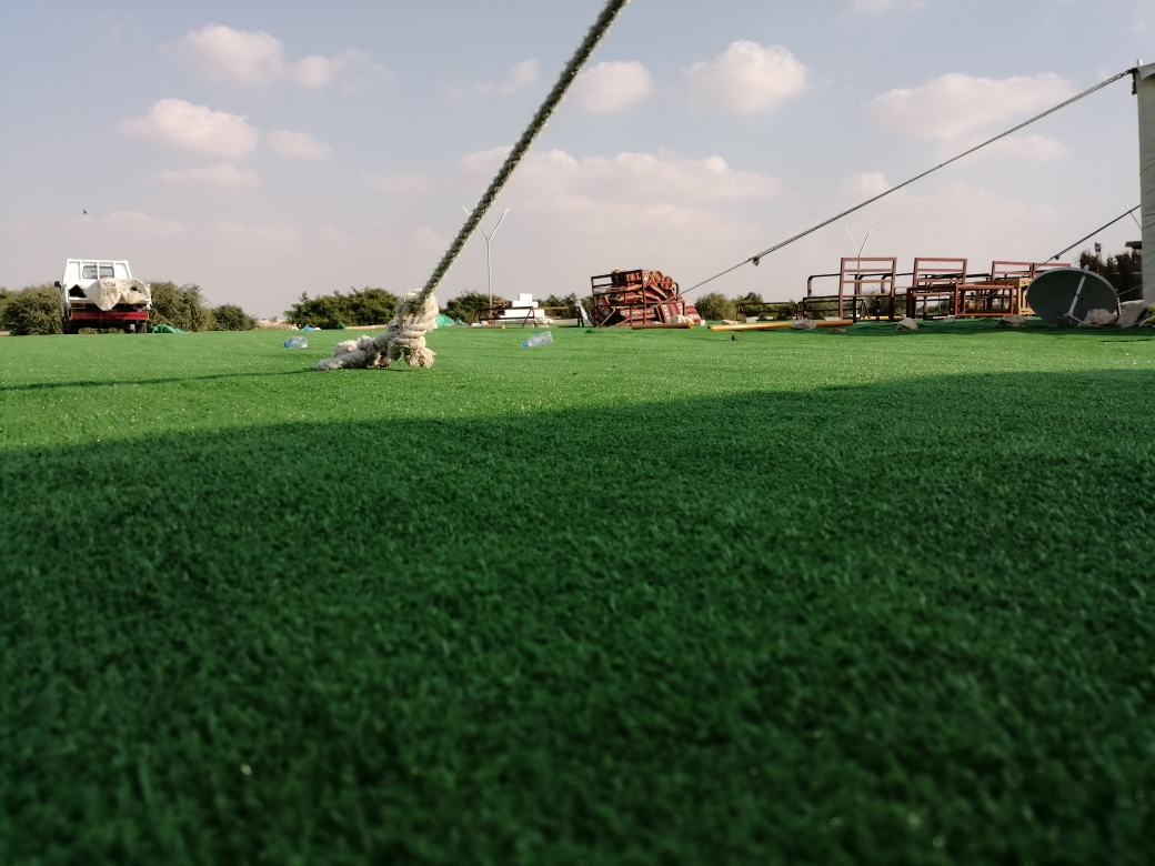 grass carpent sale - 4