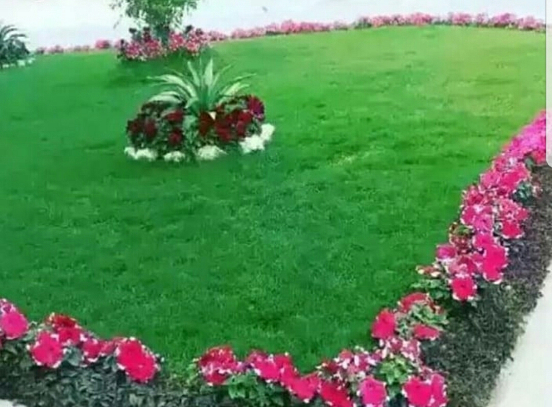 مزارااع - 1