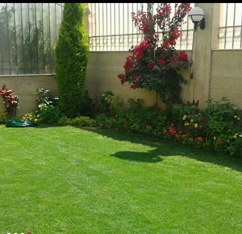 مزارااع - 2