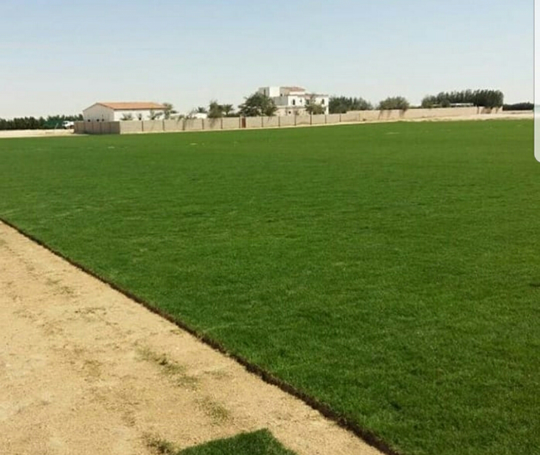 زراعه حدائق - 2