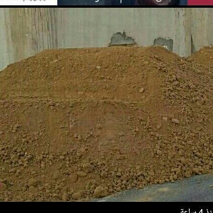 مزارع ومنسق حدائق 55079950 - 6