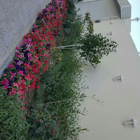 منسق ومصصم حدايق 55079950 - 4