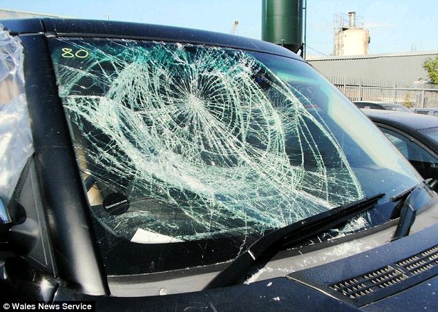 Auto Car Glass available - 1