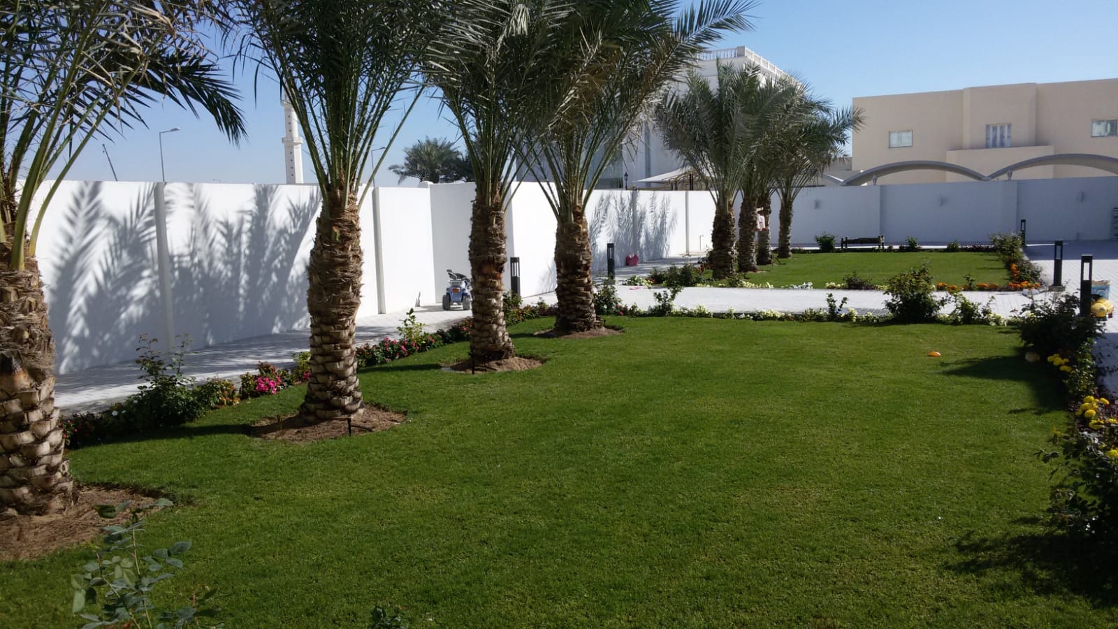 نقل وزراعة النخل - 4