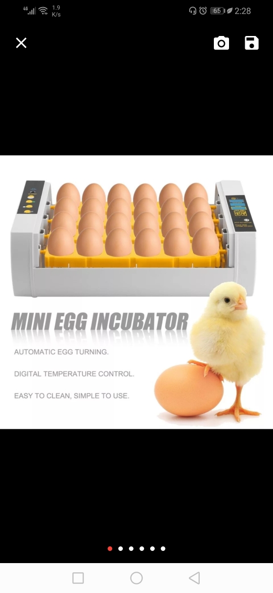 INCUBATOR SERVICE - 3