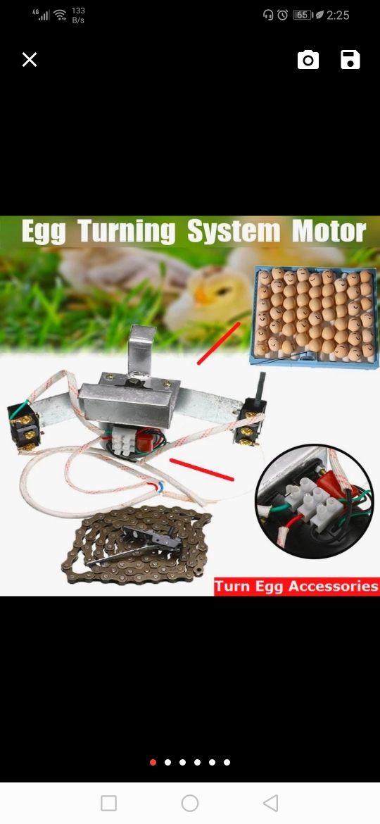 INCUBATOR SERVICE - 2