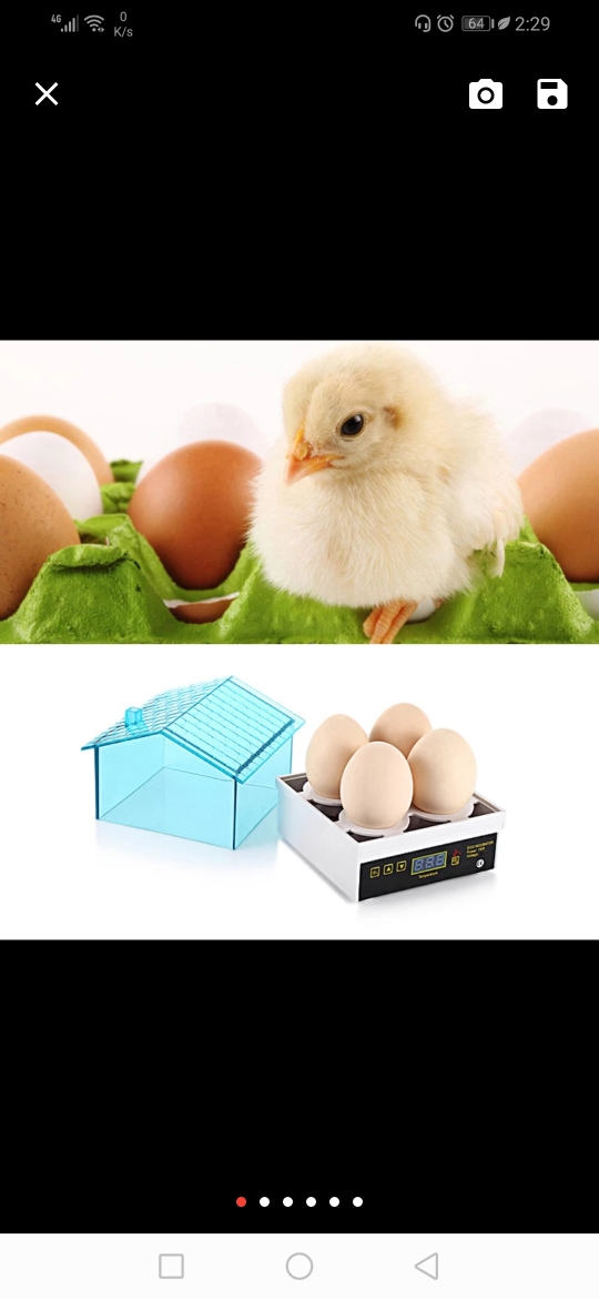 INCUBATOR SERVICE - 1