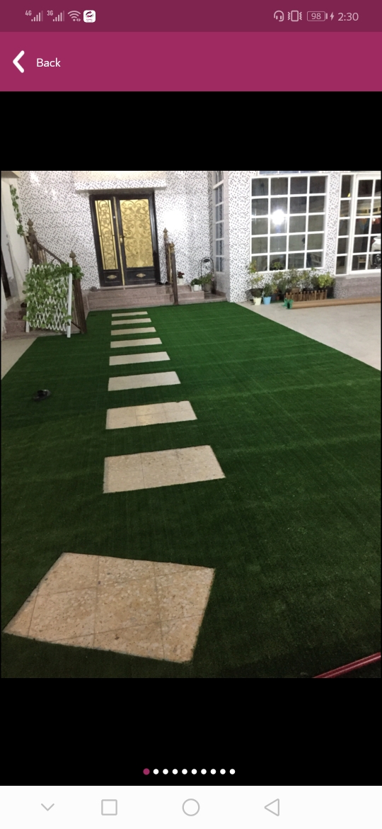 البلاتين العشب الاصطناعي السجاد - 4