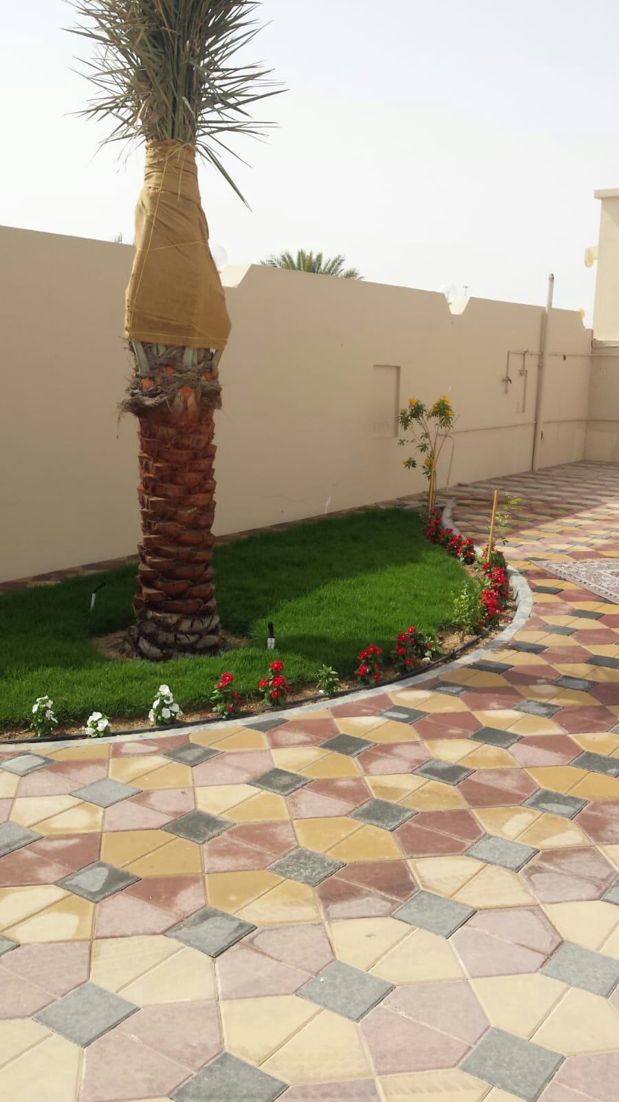 منسق  ومصمم حدائق 55079950 - 2