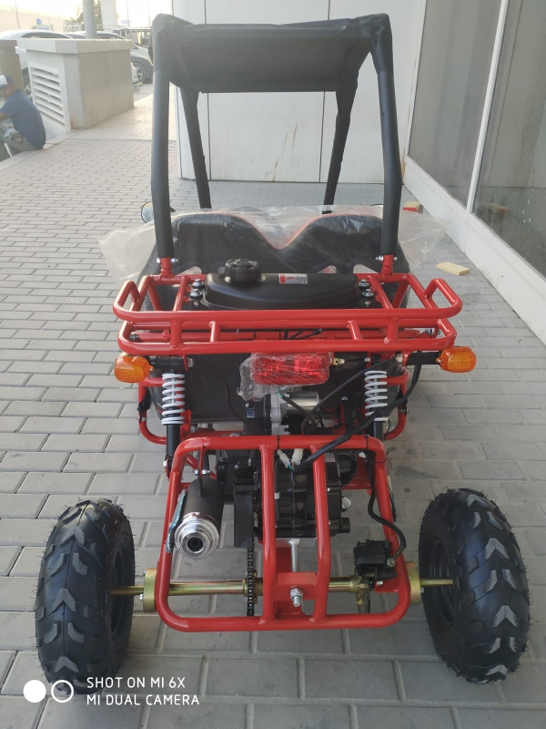 buggy 125 cc - 3