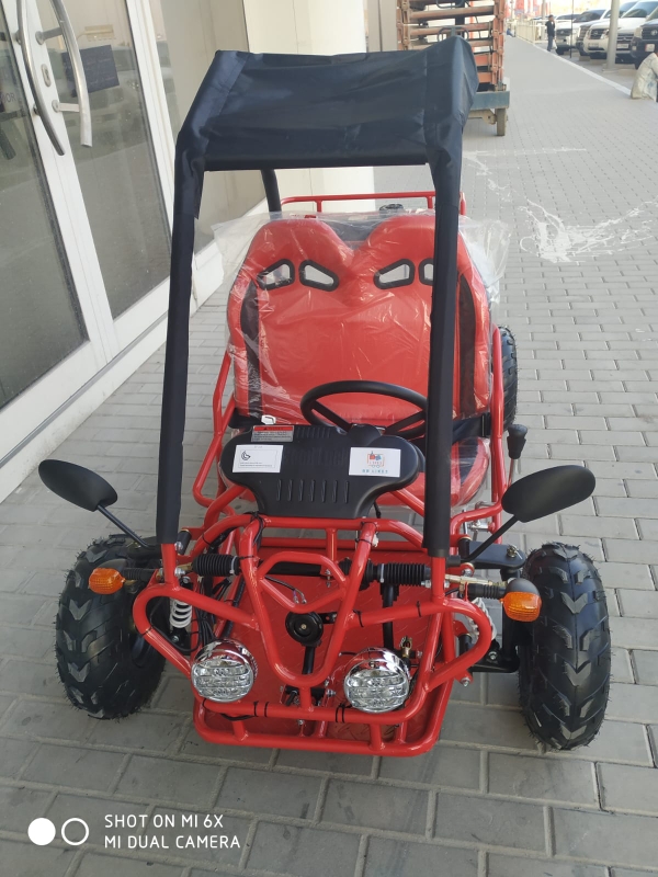 buggy 125 cc - 4