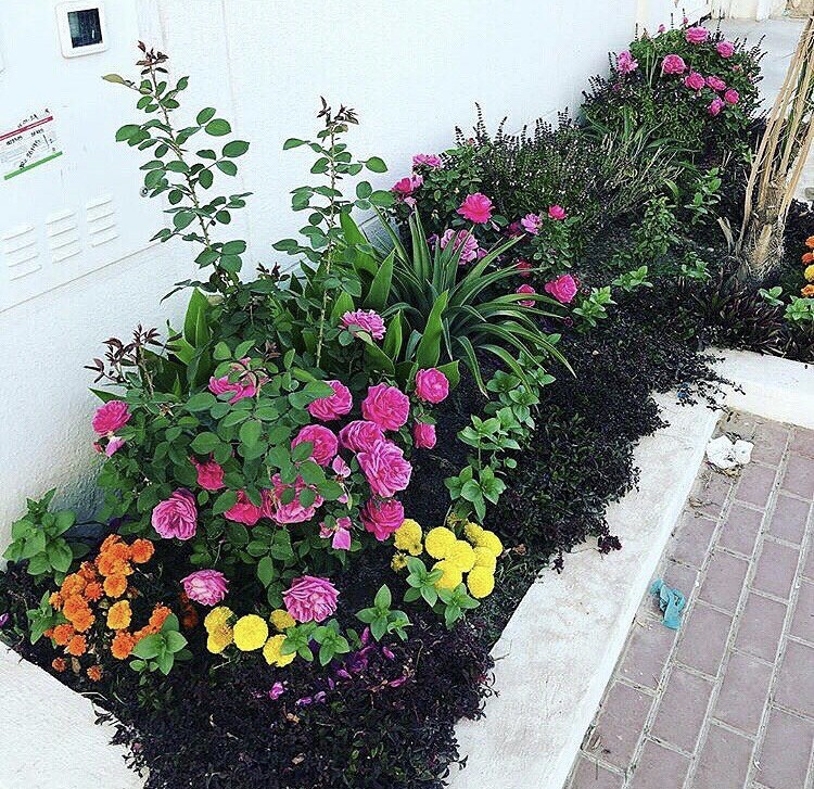 عمل حدائق منزلية - 9