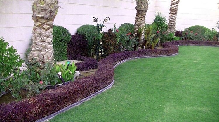 عمل حدائق منزلية - 2