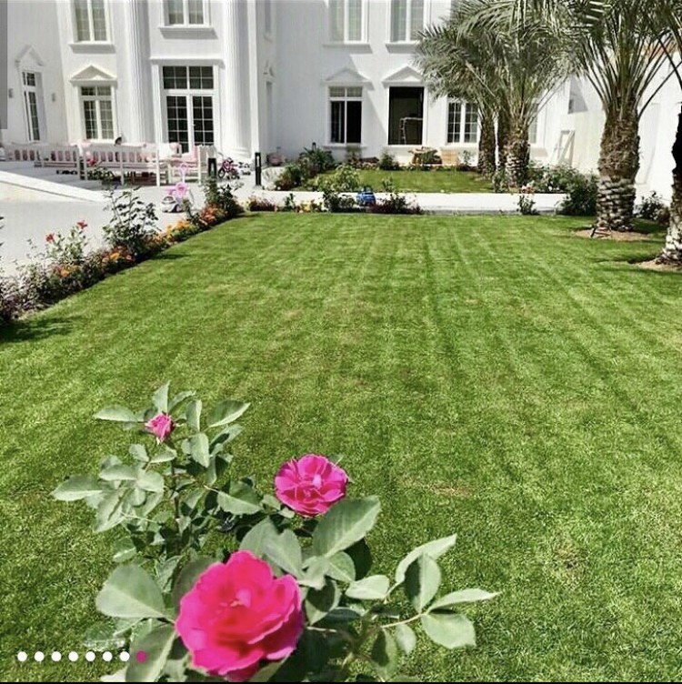 عمل حدائق منزلية - 5