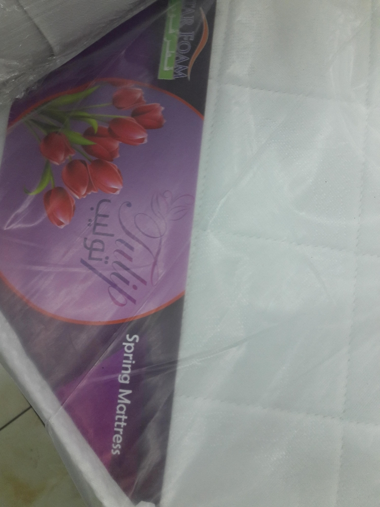 shajid - 2