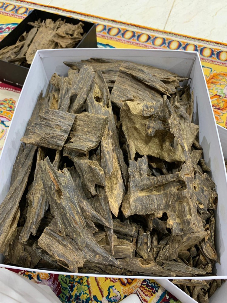 العود طبيعي - 3