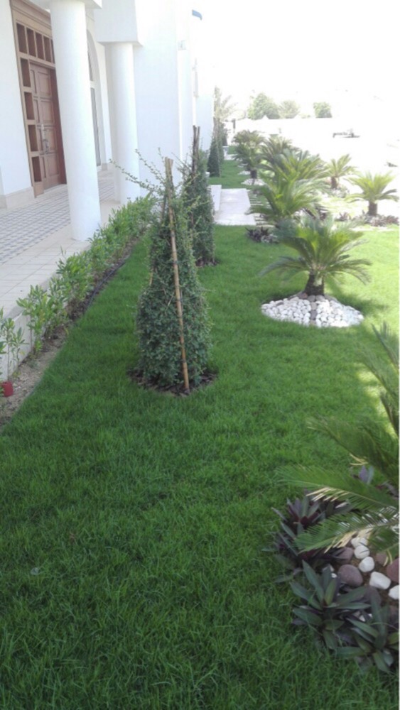 صيانة الحدائق - 3