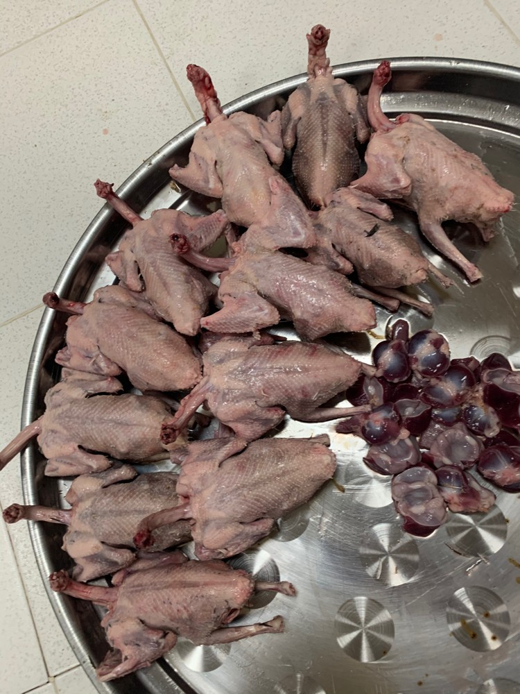 زغاليل للأكل - 2