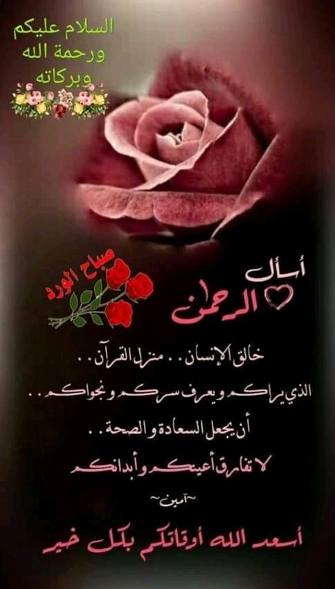 رياضيات خبره اكثرمن 25عاما - 1