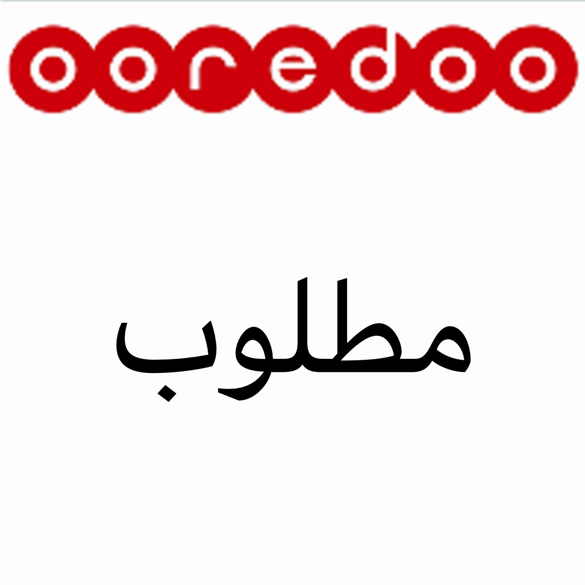 مطلوب شركه لديها نجارين وبلاستر - 2