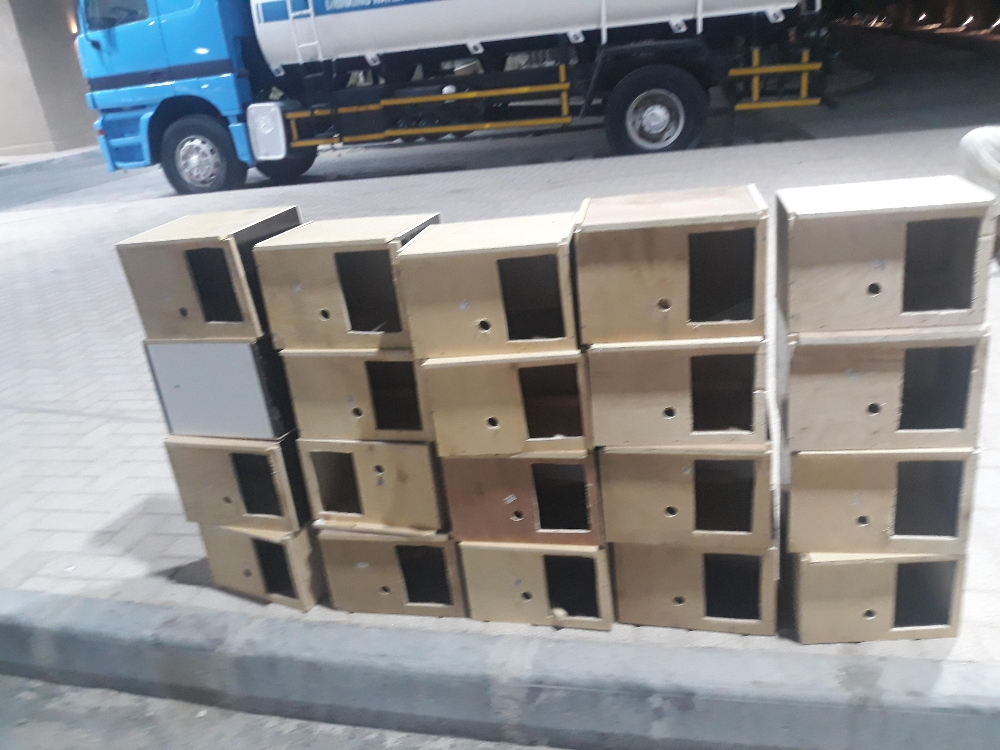 box - 3