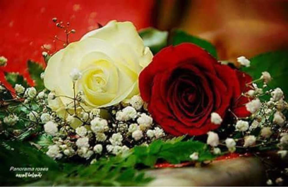 رياضيات خبره اكثرمن 25عاما - 5