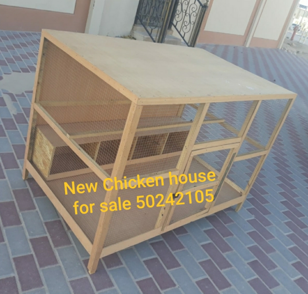 pigeons box - 5