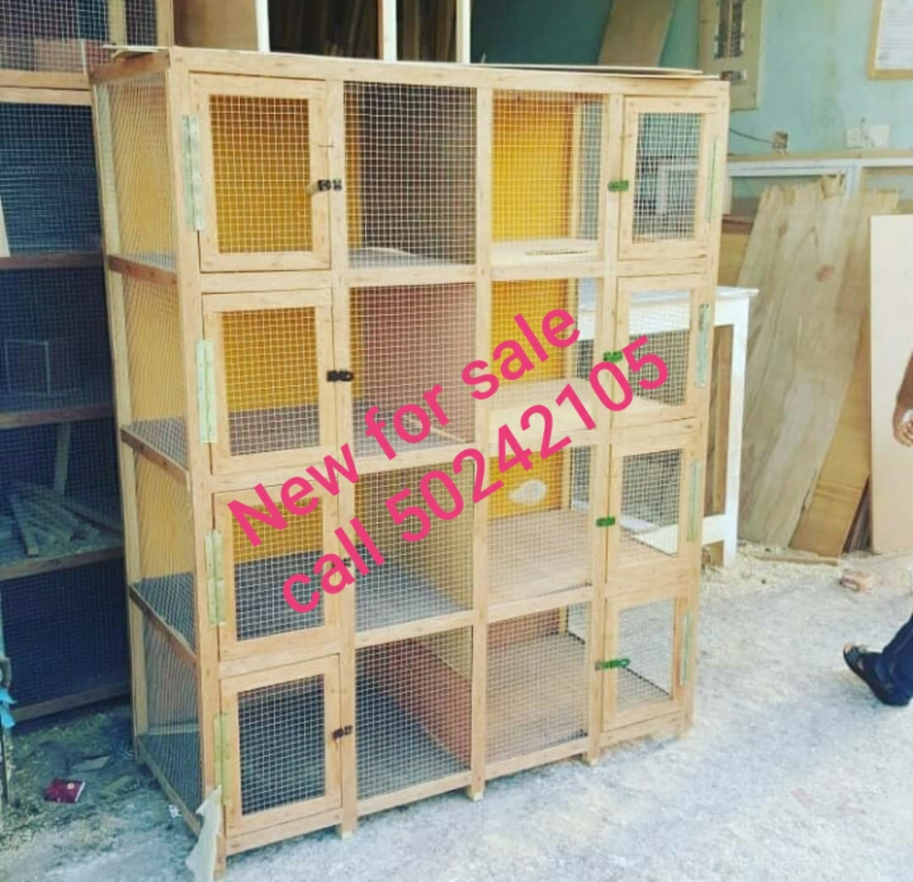 pigeons box - 3