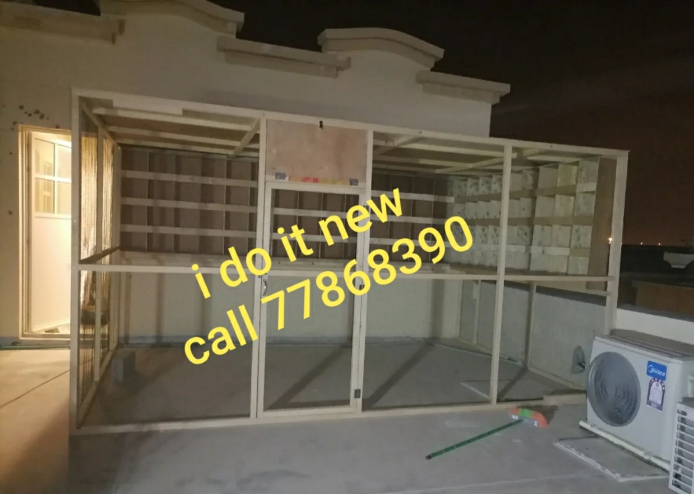 pigeons box - 2