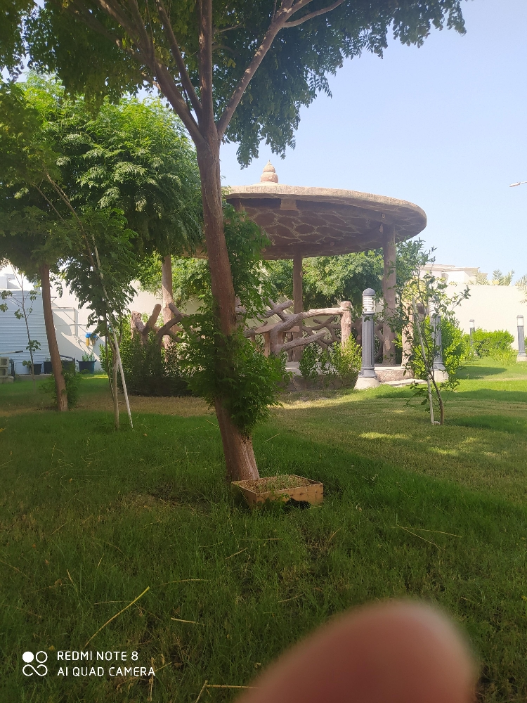 ديكورات حدائق - 10