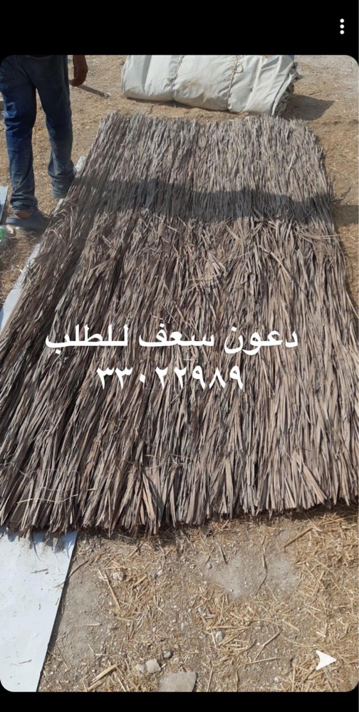 Palm fronds for sale - 3