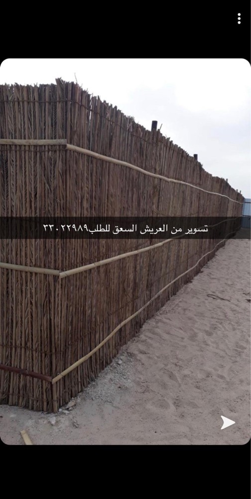 Palm fronds for sale - 4