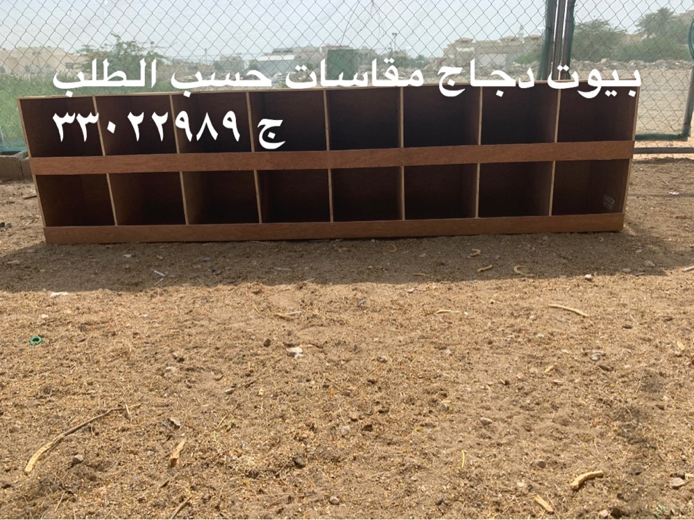 Pigeons and chickens sale - 2