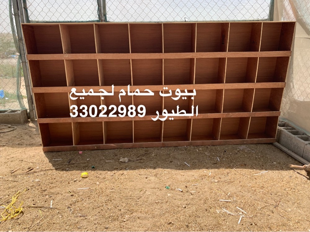 Pigeons and chickens sale - 1